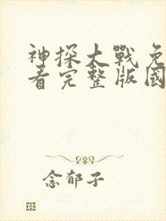 神探大战免费观看完整版国语在线