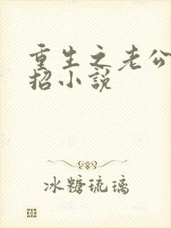 重生之老公请接招小说