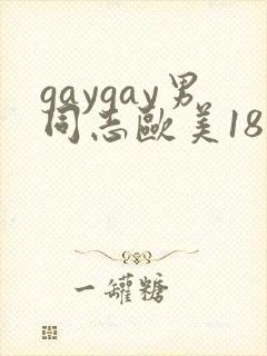 gaygay男同志欧美18