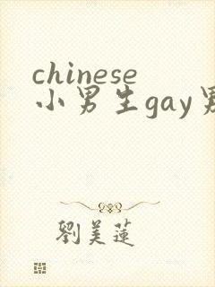 chinese小男生gay男男网站