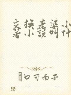 交换老婆小说原著小说叫什么名字