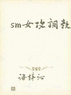 sm女攻调教文