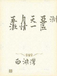 五月天亚洲婷婷激情一区