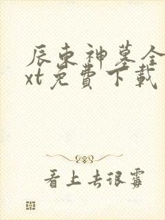 辰东神墓全本txt免费下载
