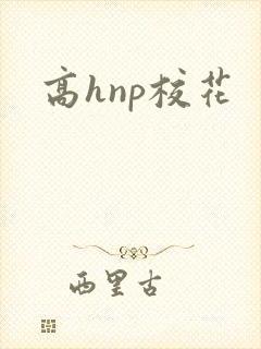 高hnp校花