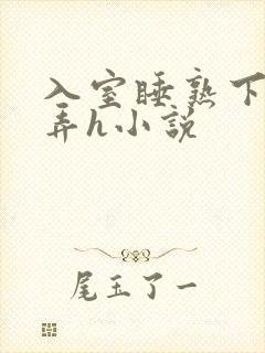 入室睡熟下药玩弄h小说封面