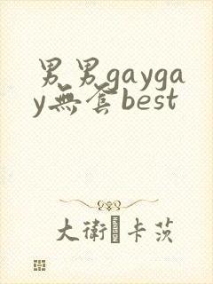 男男gaygay无套best