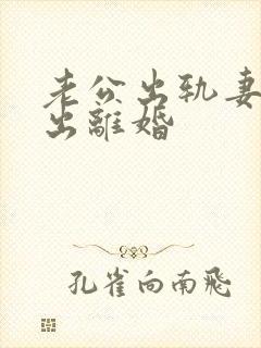 老公出轨妻子提出离婚