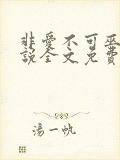 非爱不可巫哲小说全文免费阅读