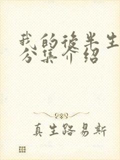 我的后半生剧情分集介绍