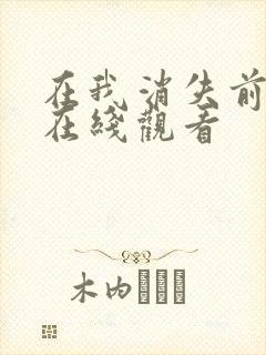 在我消失前电影在线观看