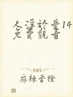 人浮于爱14集免费观看
