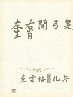 左右开弓是什么生肖