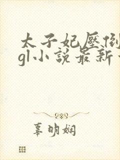 太子妃压倒皇后gl小说最新章节列表封面
