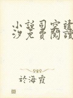 小说司空靖苏月汐免费阅读