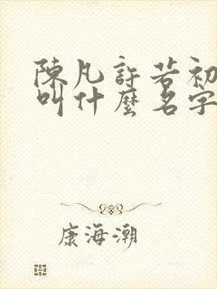 陈凡许若初小说叫什么名字