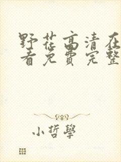 野花高清在线观看免费完整中文