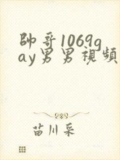 帅哥1069gay男男视频