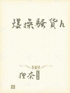 爆操骚货h