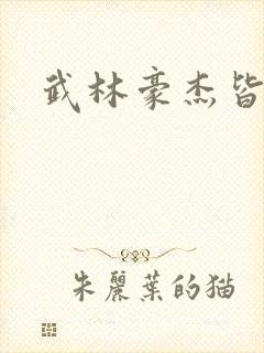武林豪杰皆我奴