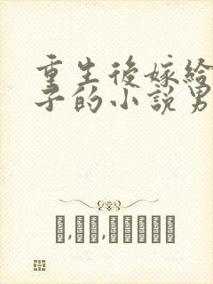 重生后嫁给小叔子的小说男主是将军