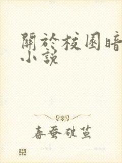 关于校园暗恋的小说