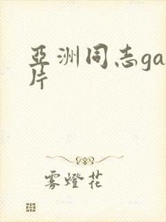 亚洲同志gay片封面