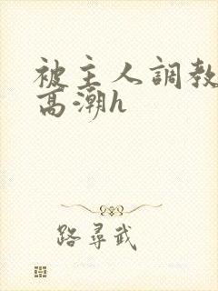 被主人调教当众高潮h
