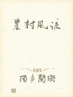 农村风流
