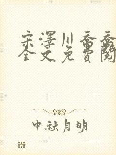宋泽川乔乔小说全文免费阅读封面