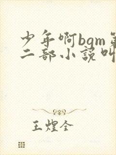 少年啊bgm第二部小说叫什么