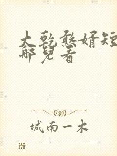 大乾憨婿短剧在哪儿看封面