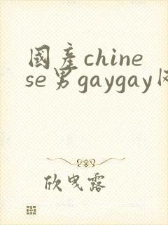 国产chinese男gaygay网站