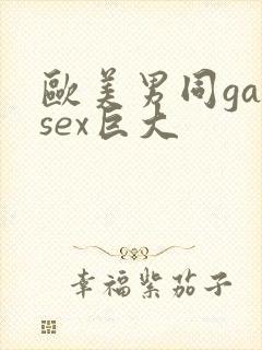 欧美男同gaysex巨大封面