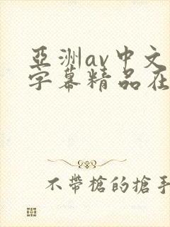 亚洲av中文字字幕精品在线