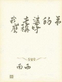 我老婆的弟弟怎么称呼封面