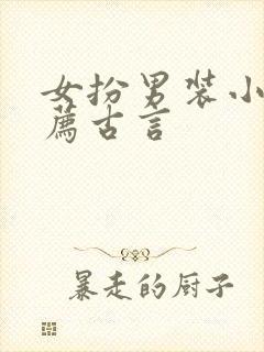 女扮男装小说推荐古言