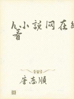 h小说网在线观看
