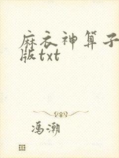 麻衣神算子精校版txt