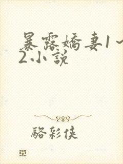 暴露娇妻1～12小说