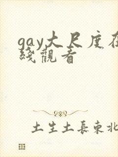 gay大尺度在线观看