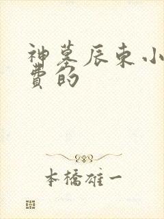 神墓辰东小说免费的