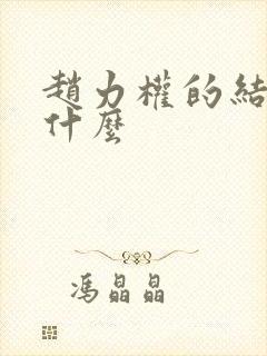 赵力权的结局是什么封面