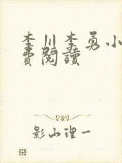 李川李勇小说免费阅读封面