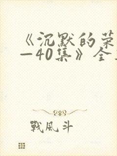 《沉默的荣耀1—40集》全集免费观看