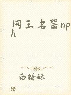 网王名器np高h