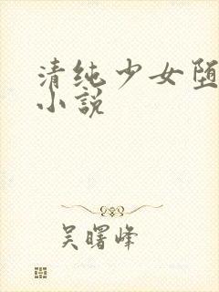 清纯少女堕落史小说