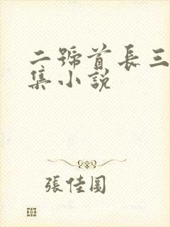 二号首长三部全集小说封面