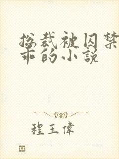 总裁被囚禁后变乖的小说