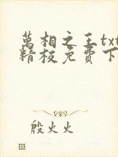 万相之王txt精校免费下载